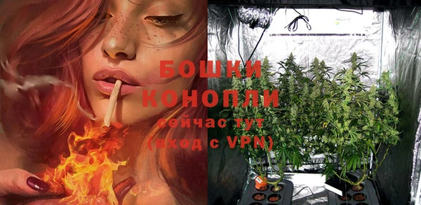 MDMA Гусев