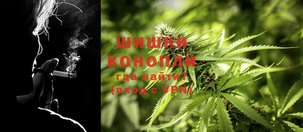 эйфоретик Гусиноозёрск
