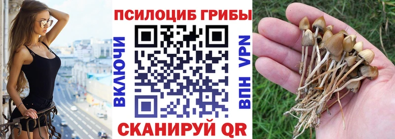 Галлюциногенные грибы ЛСД  наркошоп  Озёрск 